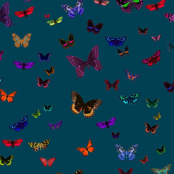Motif tissu Butterfly n°2 Collection de tissus ALL Zéphyr&Co